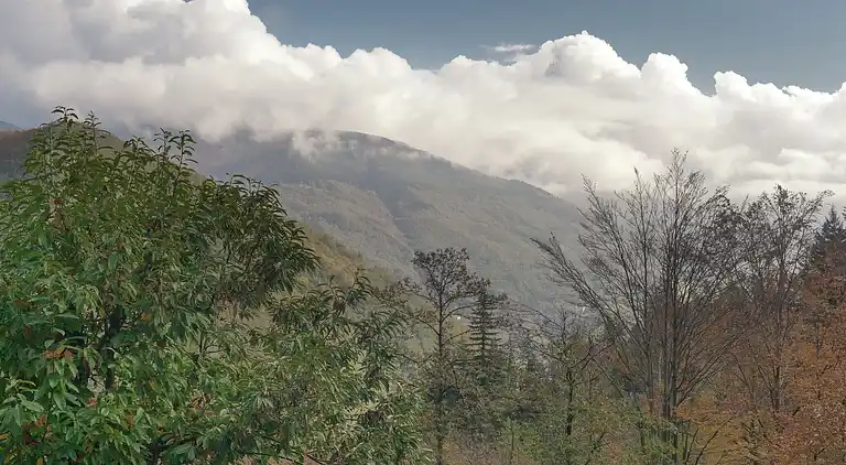 Feriebolig i Pian degli Ontani