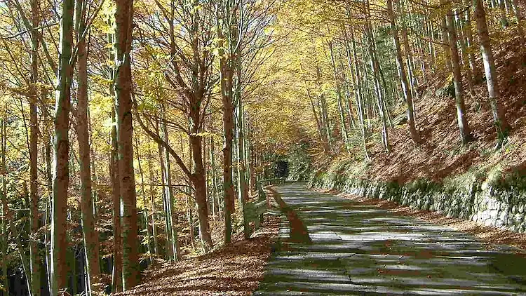 Vakantiehuis in Pian degli Ontani