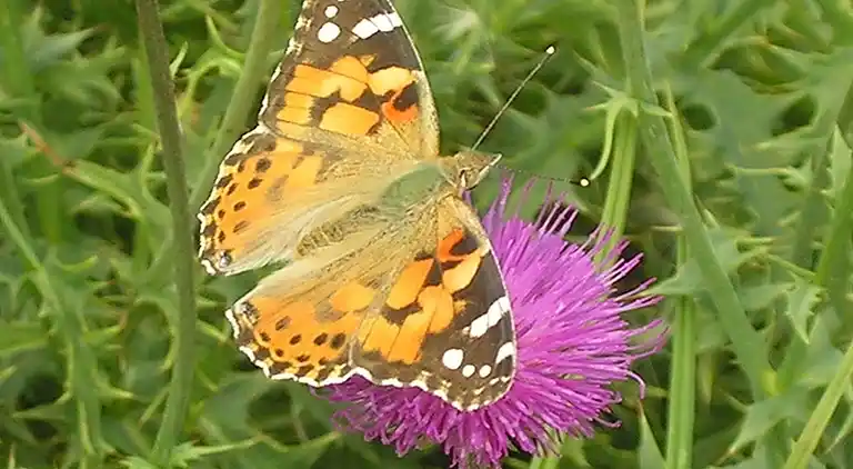 Vakantiehuis in Cutigliano