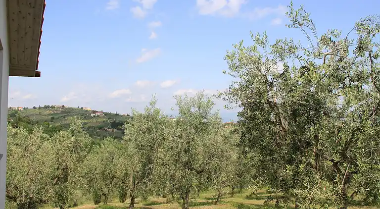 Casa rural en Quarrata
