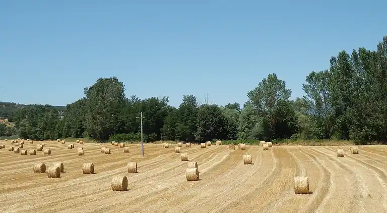 Gårdshus i Ortignano Raggiolo