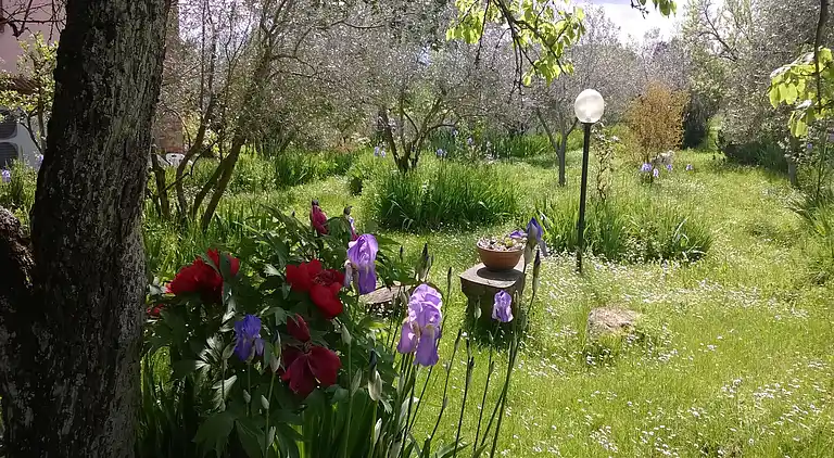 Gårdshus i Castelfranco di Sopra