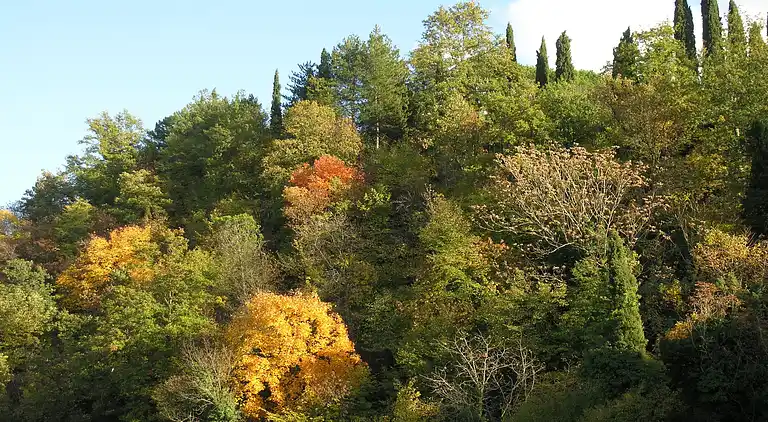 Gårdshus i Castelfranco di Sopra
