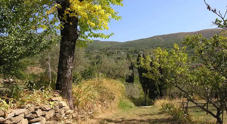Gårdshus i Castelfranco di Sopra