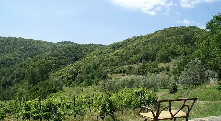 Vakantiehuis in Cavriglia