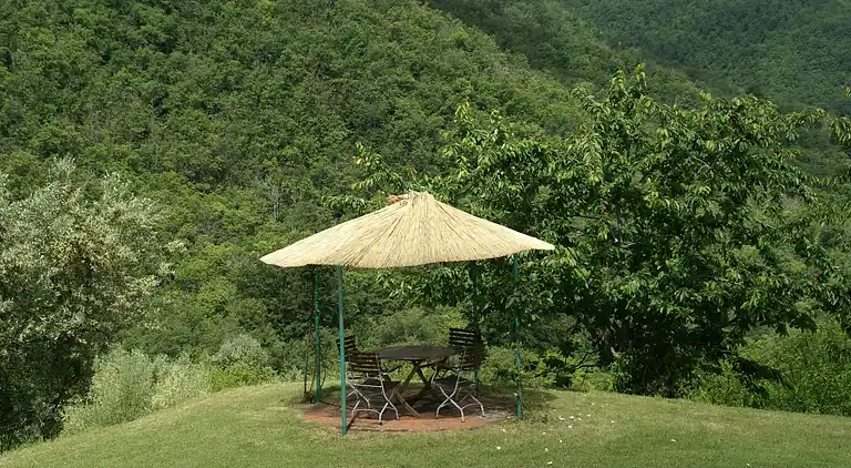 Holiday home in Cavriglia