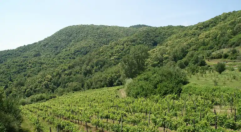 Herregård i Cavriglia