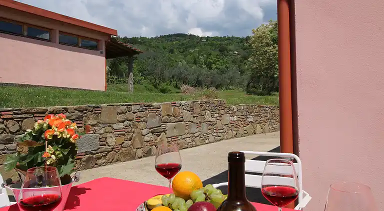 Farm house in Castelfranco di Sopra