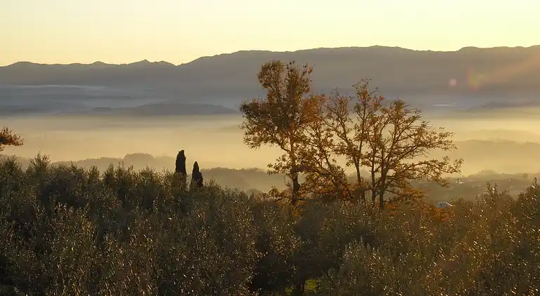 Farm house in Castelfranco di Sopra