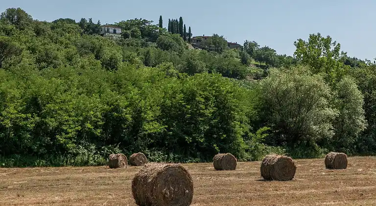 Holiday home in Gavignano