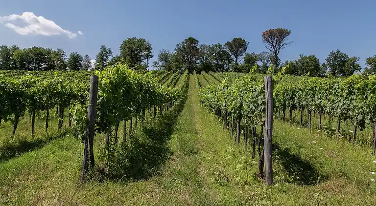 Casa de vacaciones en Gavignano