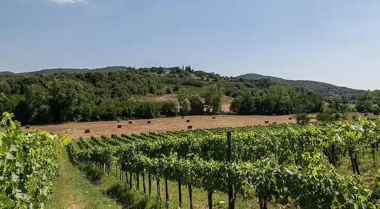 Sommerhus i Gavignano