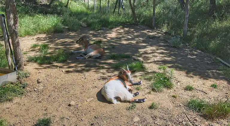 Casa rural en Loro Ciuffenna