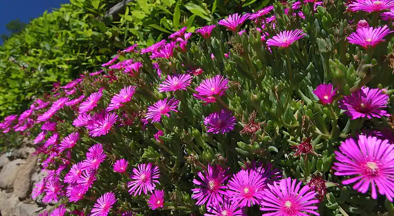 Cottage in Loro Ciuffenna