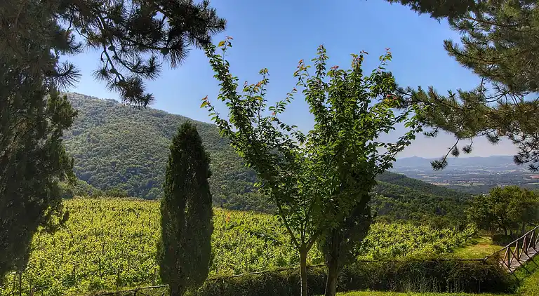 Cottage in Loro Ciuffenna