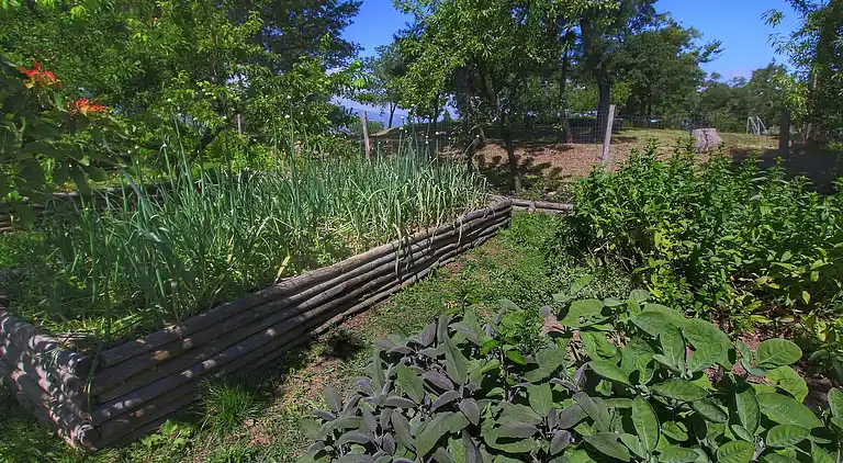 Farm house in Loro Ciuffenna