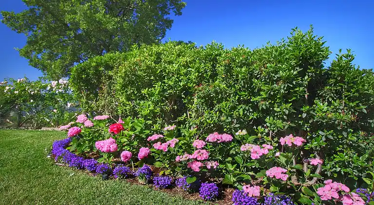 Farm house in Loro Ciuffenna