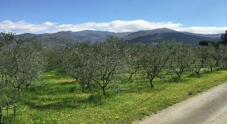 Herregård i Pian di Scò