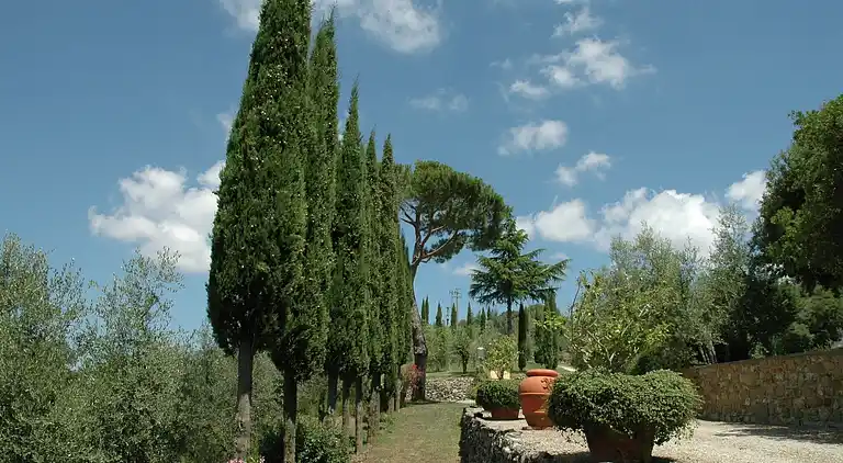 Cottage in Civitella in Val di Chiana