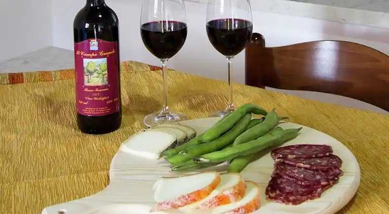 Farm house in Castiglion Fiorentino