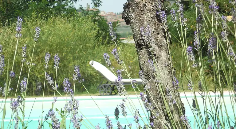 Holiday home in Poggiolo