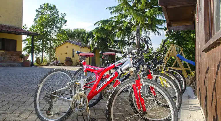 Holiday home in Castiglion Fiorentino