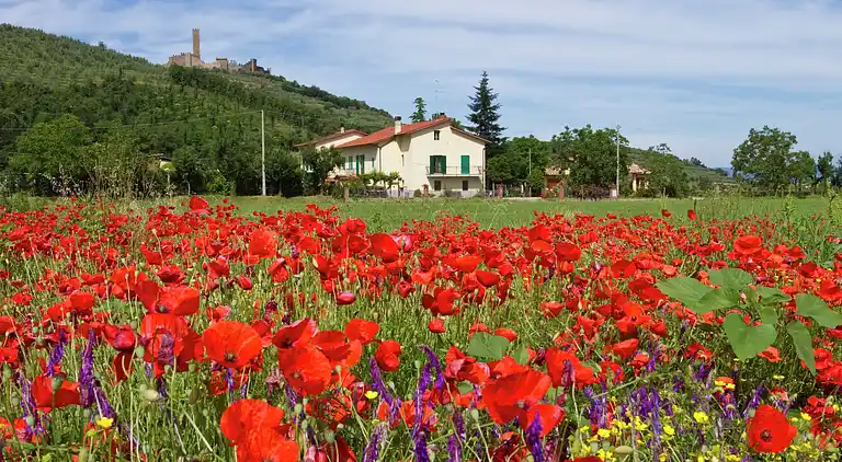 Holiday home in Castiglion Fiorentino