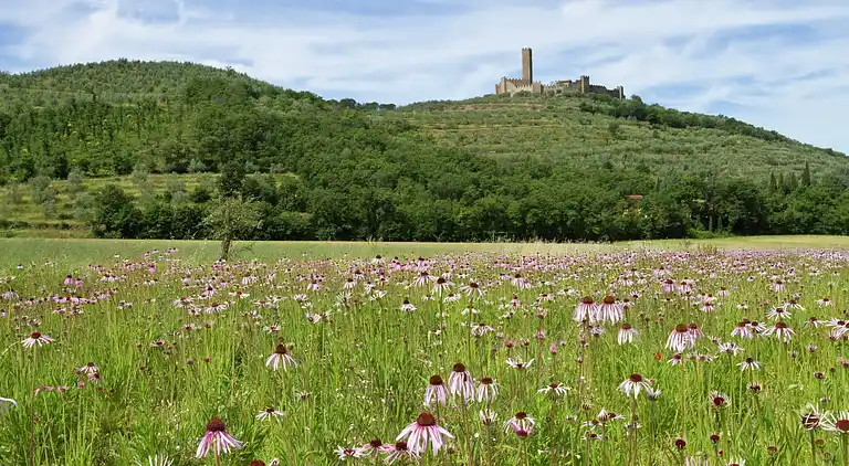 Holiday home in Castiglion Fiorentino