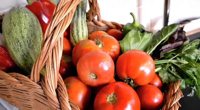 Feriebolig i Farneta II