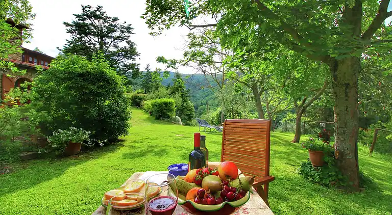 Farm house in Cortona