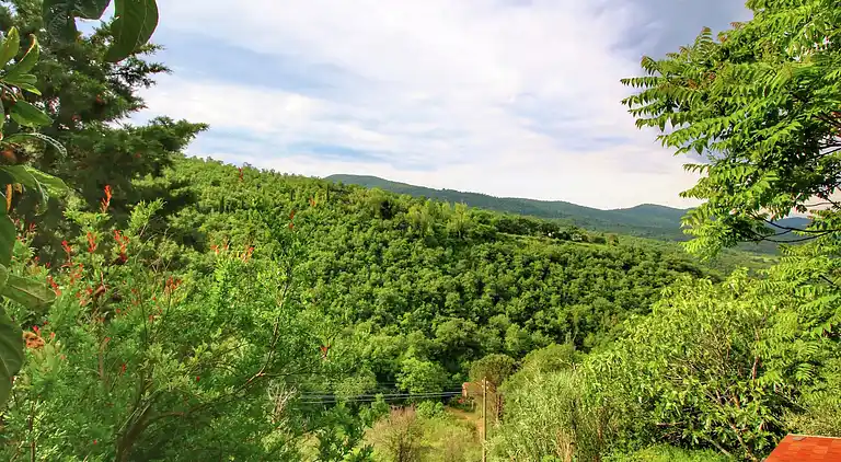 Farm house in Cortona