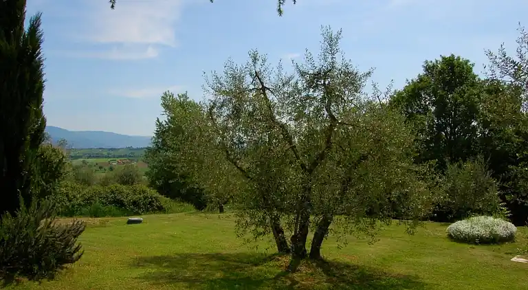 Cottage in Foiano della Chiana