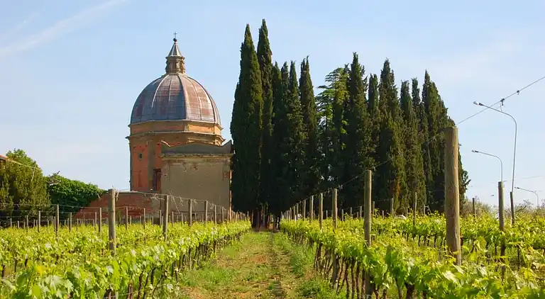 Cottage in Foiano della Chiana