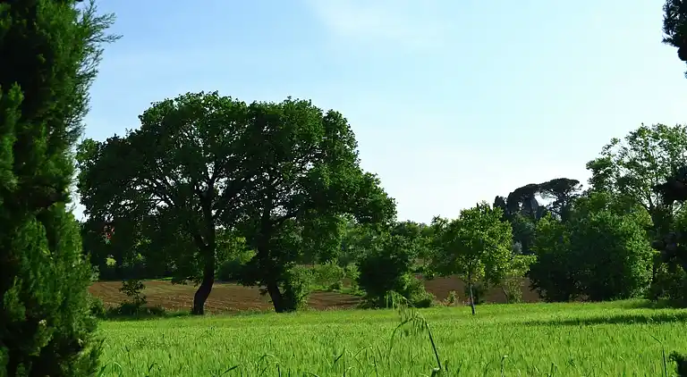 Cottage in Foiano della Chiana