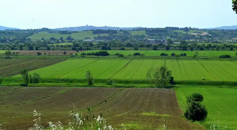 Cottage in Foiano della Chiana