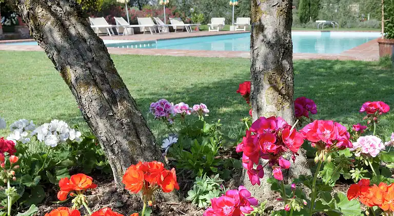 Holiday home in Foiano della Chiana