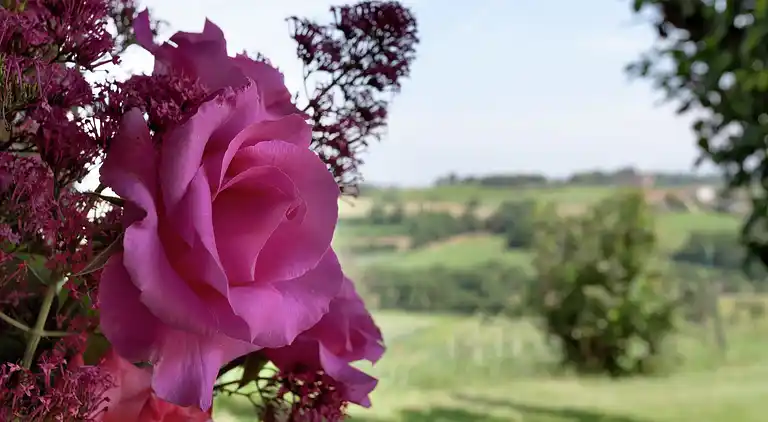 Casa de vacaciones en Foiano della Chiana