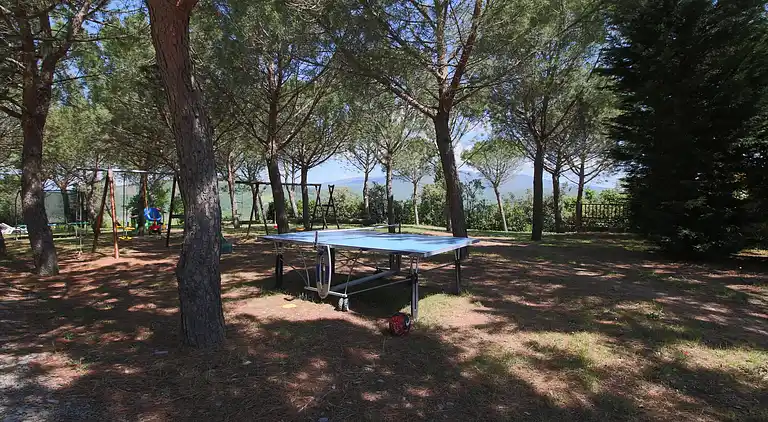 Casa rural en Arezzo