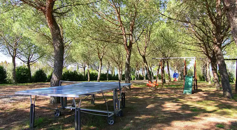 Farm house in Arezzo