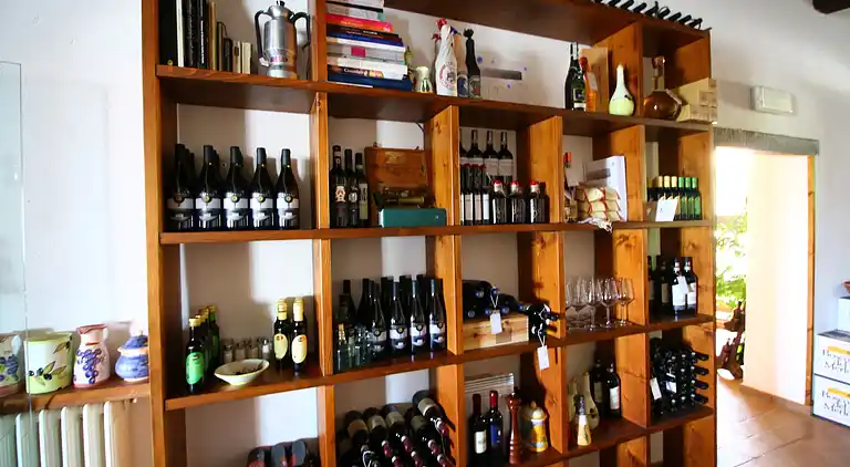 Manor house in Castelvecchi