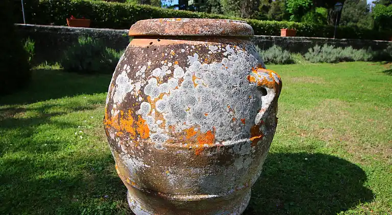 Manor house in Castelvecchi