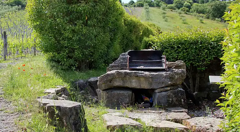 Apartment in Radda in Chianti