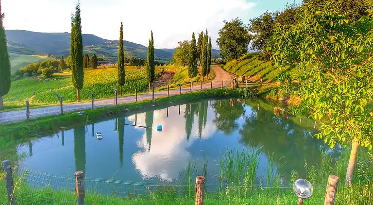 Apartment in Radda in Chianti