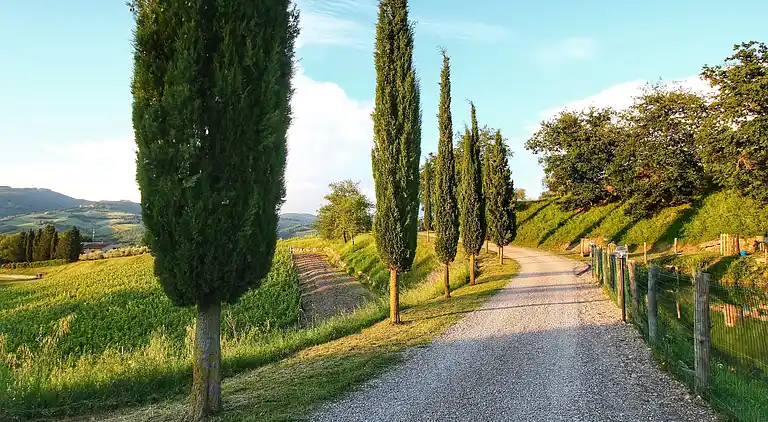Apartment in Radda in Chianti