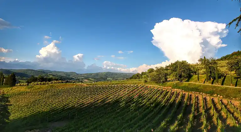 Apartment in Radda in Chianti