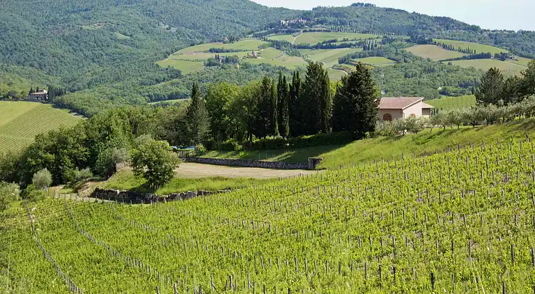 Apartment in Radda in Chianti