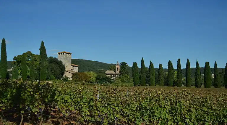 Castle in Sovicille