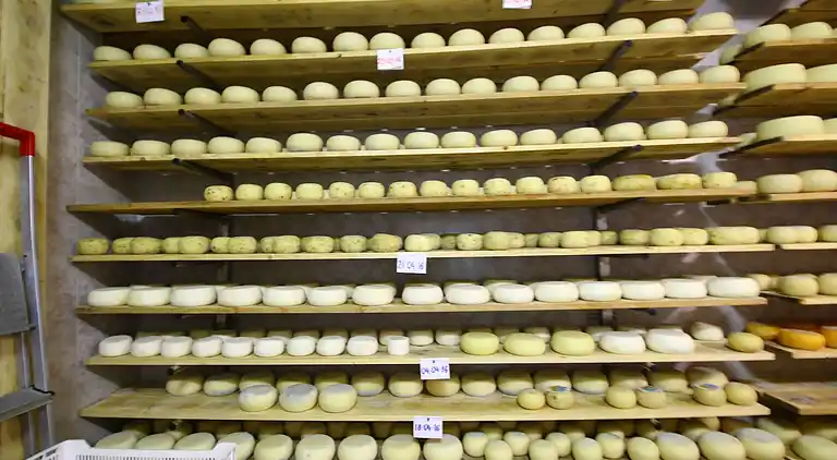 Gårdhus i Montalcino