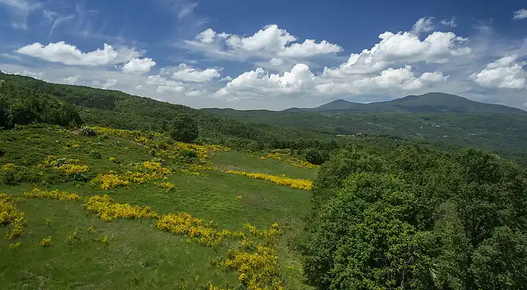 Holiday home in Piancastagnaio