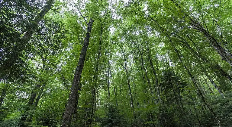 Holiday home in Piancastagnaio